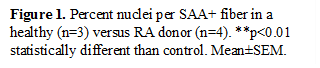 Figure 1. Percent nuclei per SAA+ fiber in a healthy (n=3) versus RA donor (n=4). **p<0.01 statistically different than control. Mean±SEM.