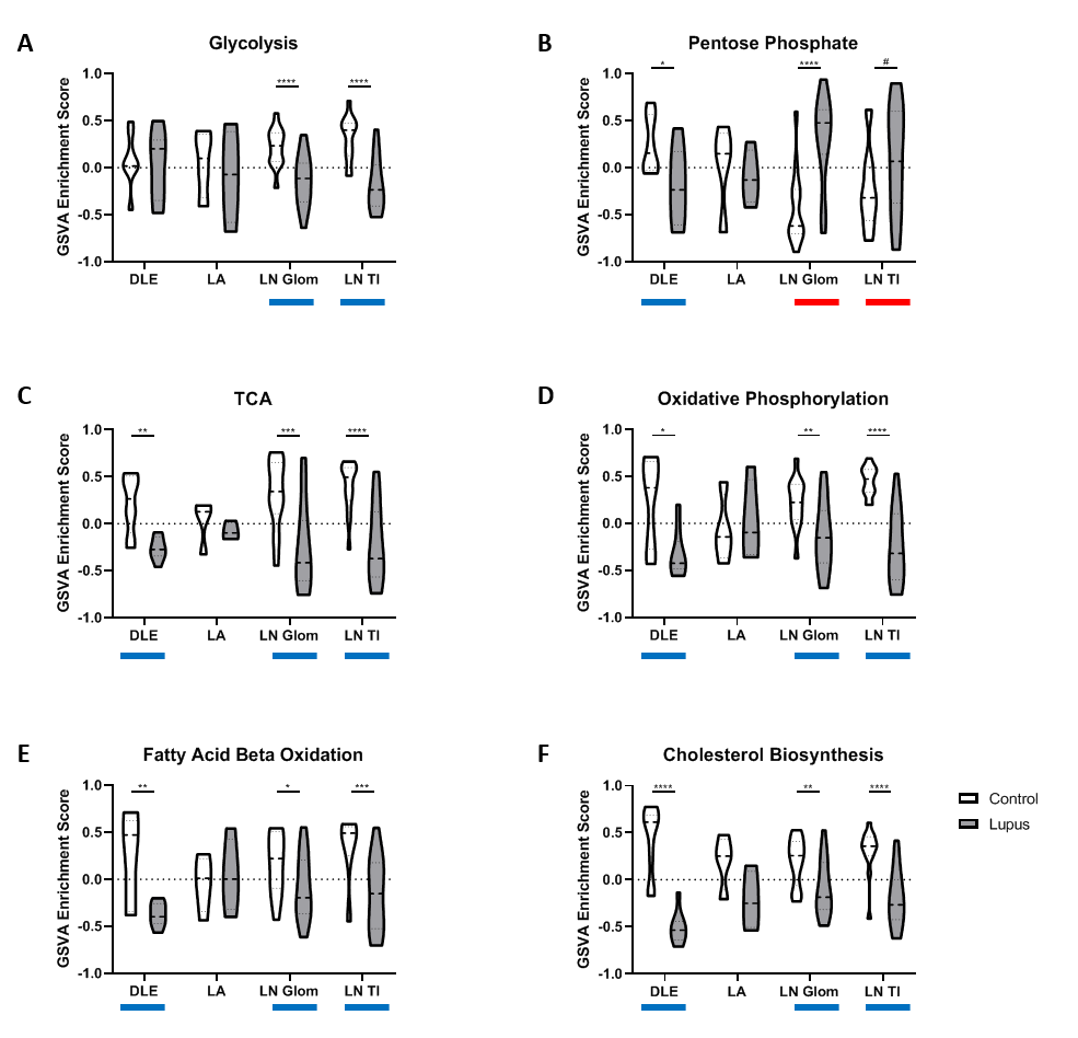 Transcriptomic Meta Analysis Of Lupus Affected Tissues Reveals Shared Immune Metabolic And Biochemical Dysregulation Acr Meeting Abstracts