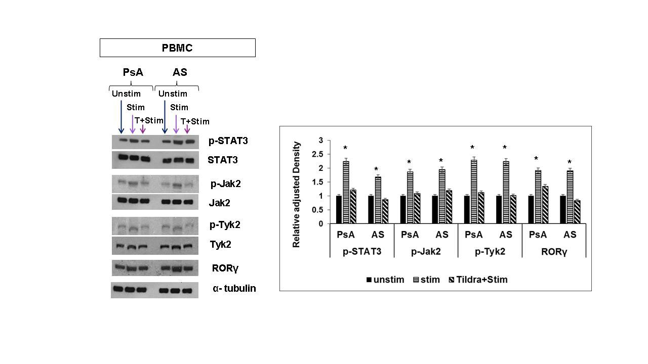 Regulatory Role Of Il 23 And Its Receptor System In Spondyloarthritis And Its Therapeutic Relevance In Anti Il 17 Failure Patients Acr Meeting Abstracts