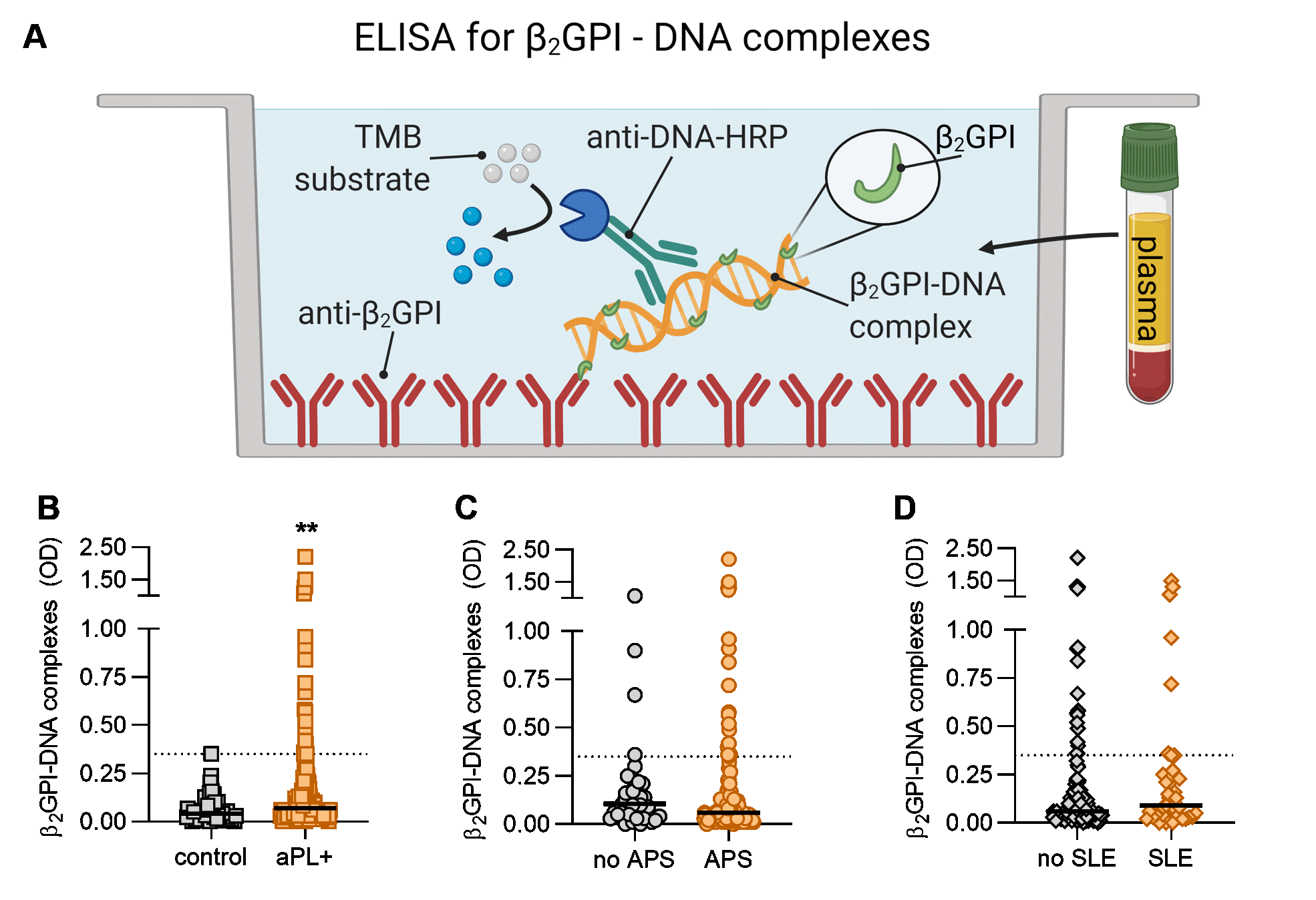 DNA- And NET-Binding Beta-2 Glycoprotein I In A Large Cohort Of ...